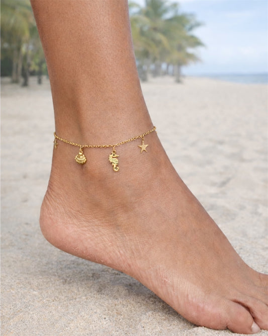 Chaine de cheville en acier inoxydable doré 