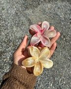 Lot de 2 pinces cheveux fleurs tiare Tahiti