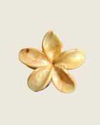 Pince cheveux fleur tendance