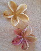 Lot de 2 pinces cheveux fleurs tiare Tahiti